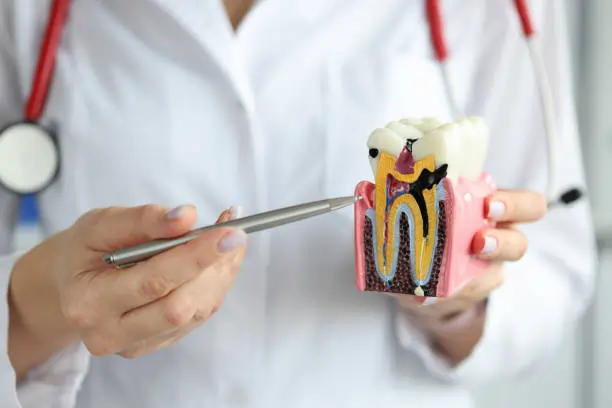 The Silent Culprits: Common Habits That Damage Your Teeth Halifax